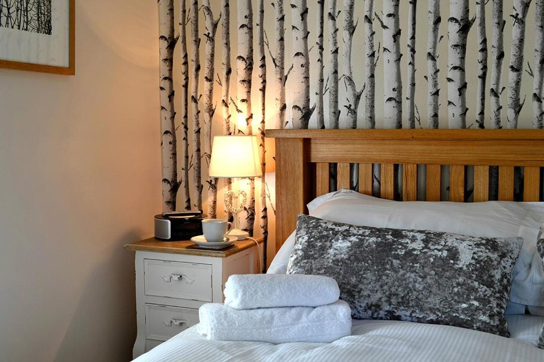 Petrock Holiday Cottages Newton Saint Petrock Eksteriør billede